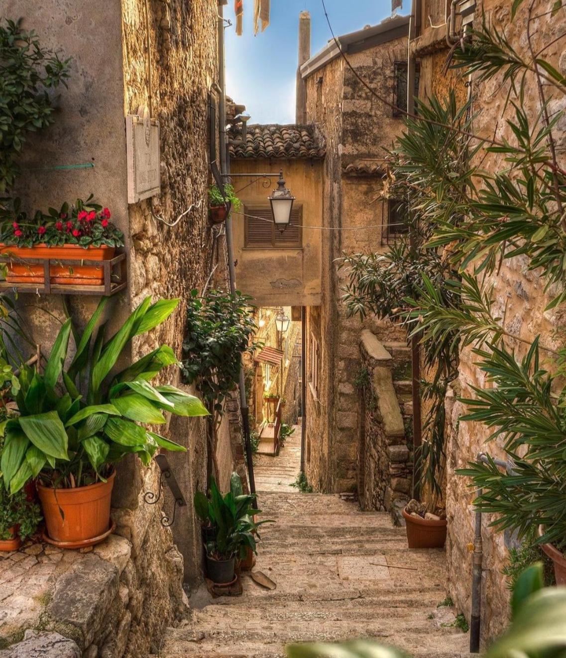 Residenza Il Panorama Della Ciociaria Bed and Breakfast Castro dei Volsci Eksteriør billede